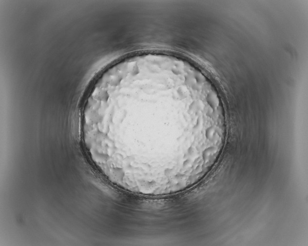 X0000111881223200908131626