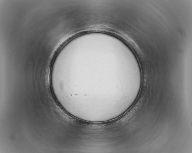 X0000111881224200908131626