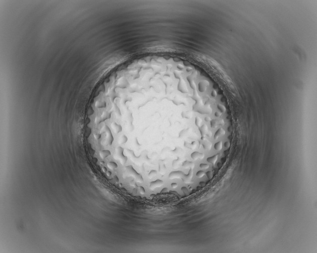 X0000111881225200908131626