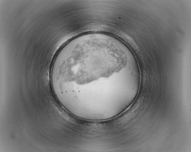 X0000111881226200908131626