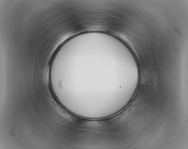 X0000111881227200908131626