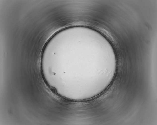 X0000111881228200908131626