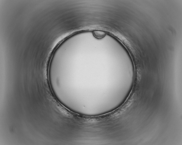 X0000111881230200908131626