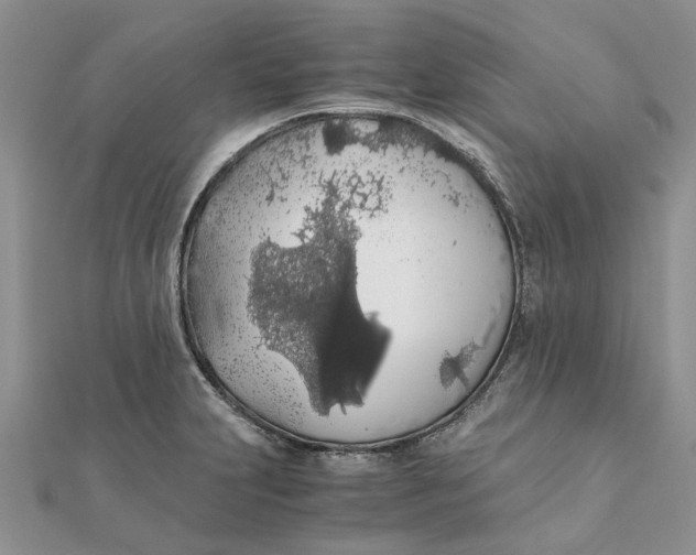 X0000111881231200908131626