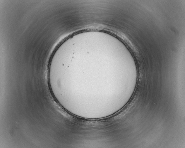 X0000111881232200908131627