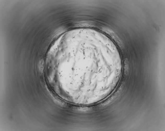 X0000111881233200908131627