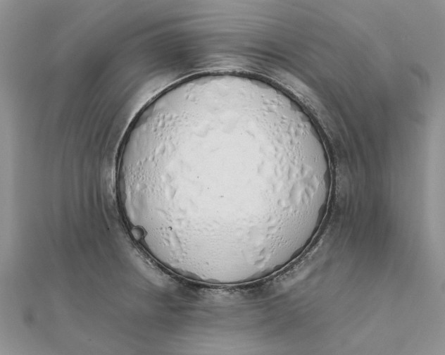 X0000111881234200908131627