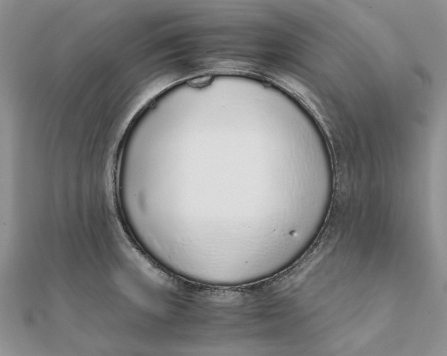 X0000111881235200908131627