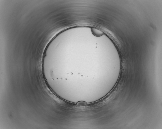 X0000111881236200908131627