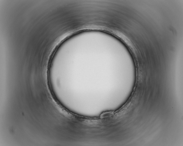 X0000111881237200908131627