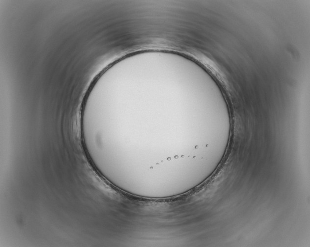 X0000111881238200908131627