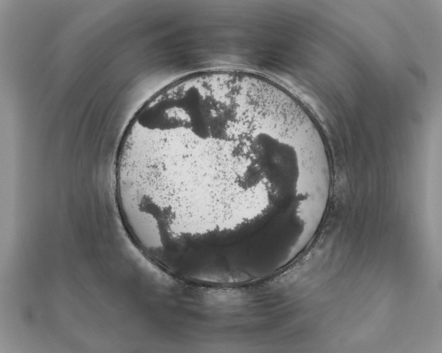 X0000111881239200908131627