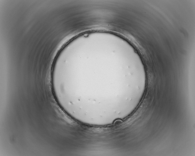 X0000111881240200908131627