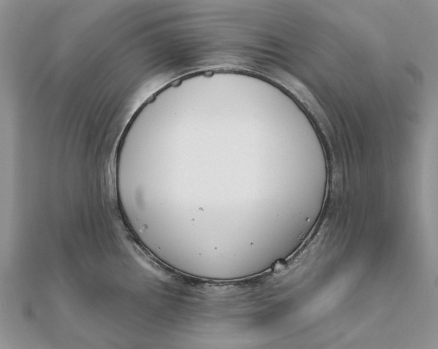 X0000111881242200908131627