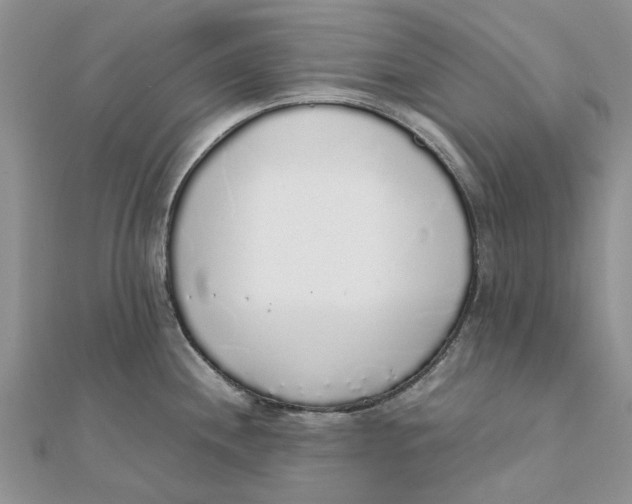 X0000111881244200908131627