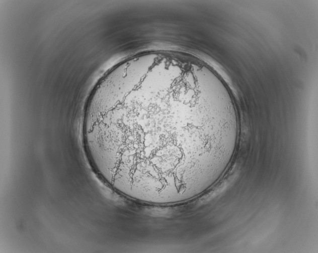 X0000111881245200908131627