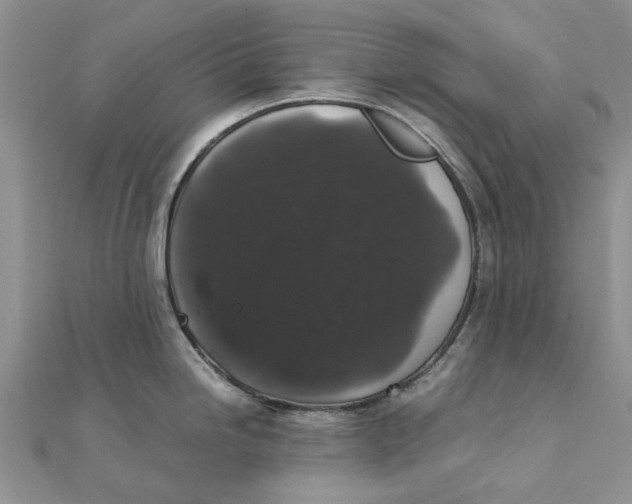 X0000111881246200908131627