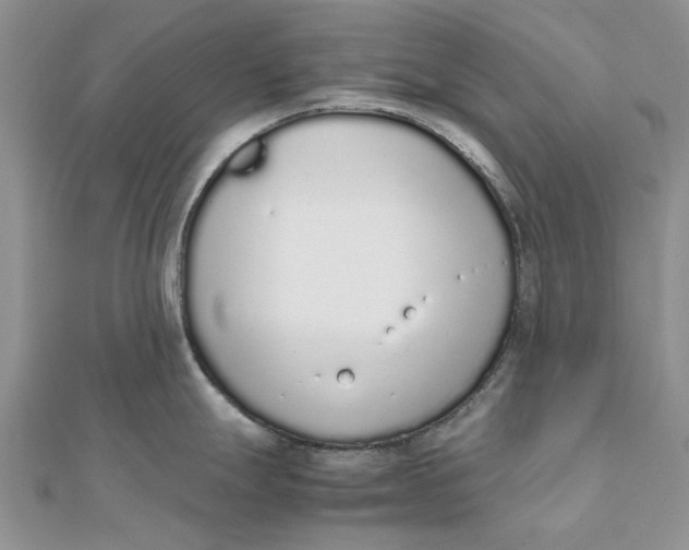 X0000111881247200908131627