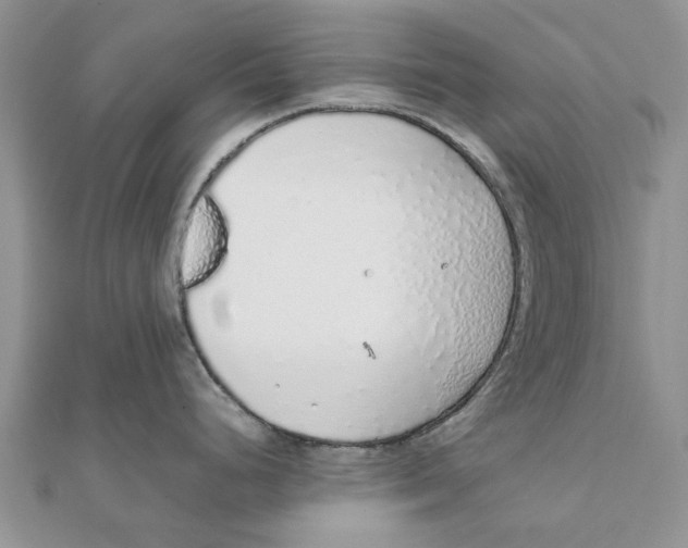 X0000111881248200908131627