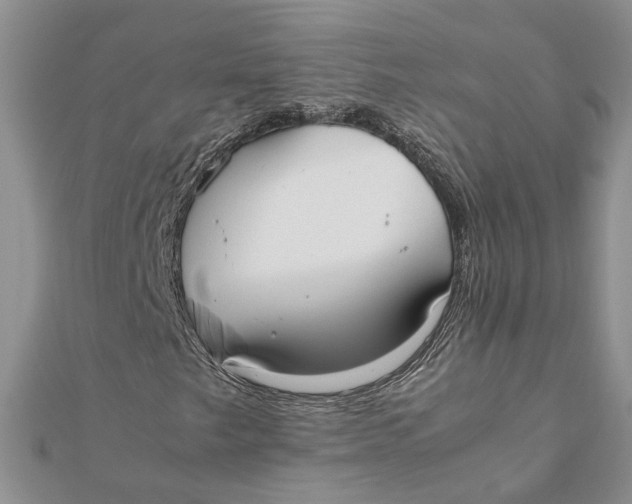 X0000111881249200908131626