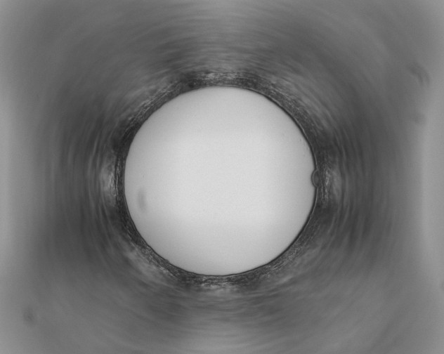 X0000111881250200908131626