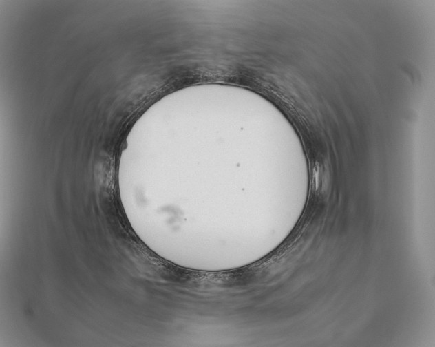 X0000111881251200908131626