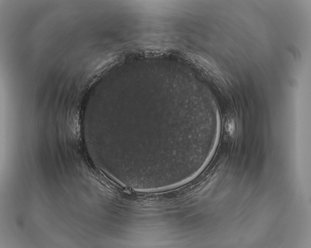 X0000111881252200908131626