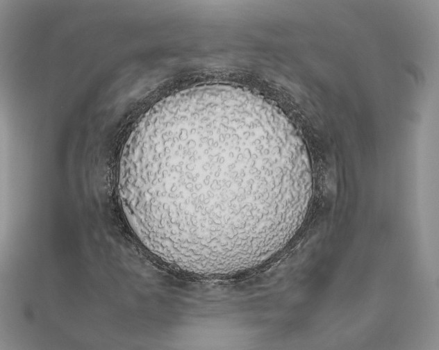 X0000111881253200908131626