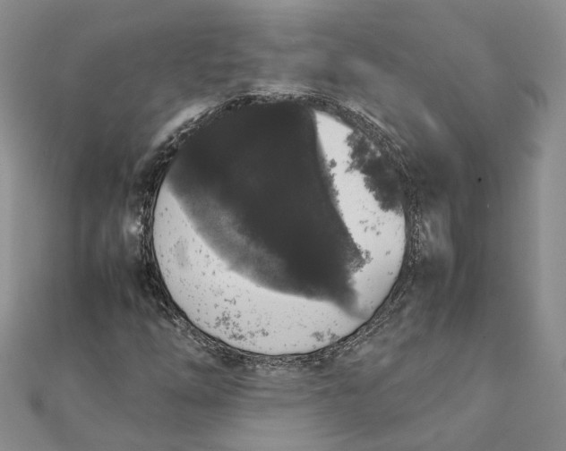 X0000111881254200908131626