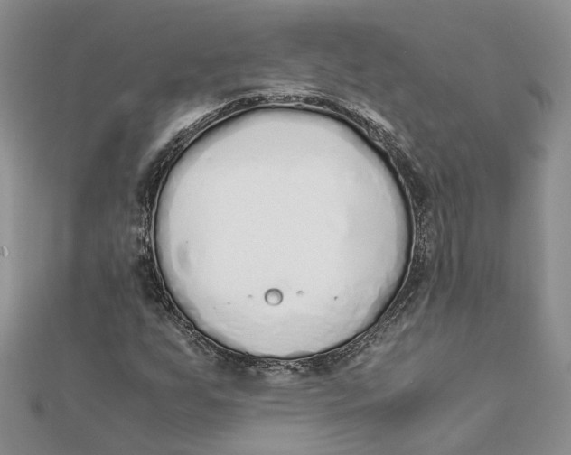 X0000111881255200908131626