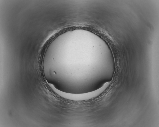 X0000111881256200908131626