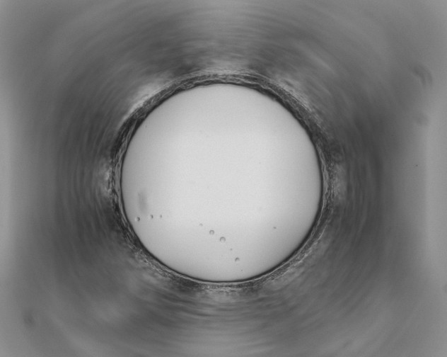 X0000111881258200908131626