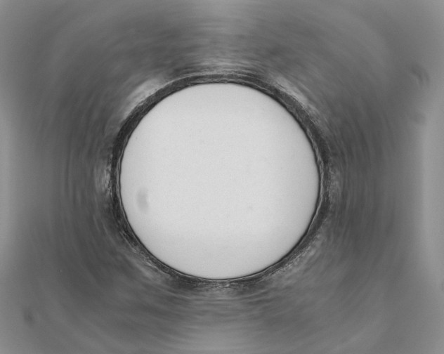 X0000111881259200908131626