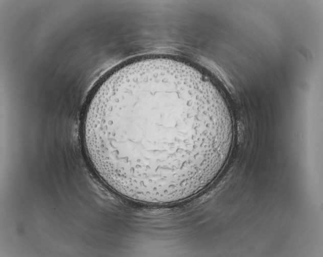 X0000111881260200908131626