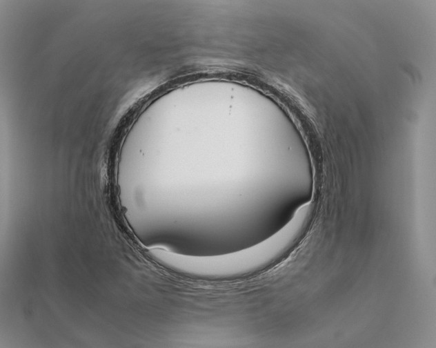 X0000111881261200908131626