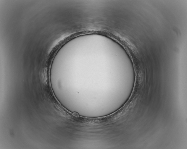 X0000111881262200908131626