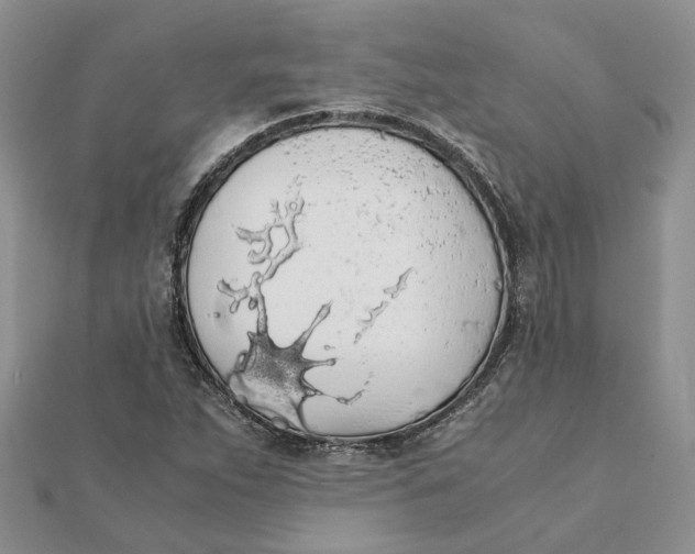 X0000111881263200908131626