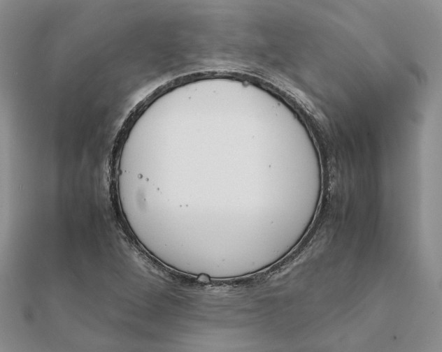 X0000111881264200908131626