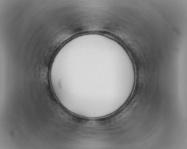 X0000111881265200908131626