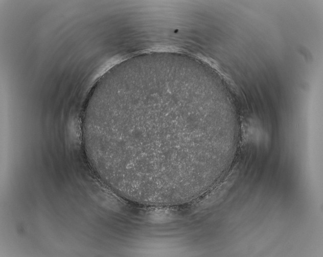 X0000111881266200908131626