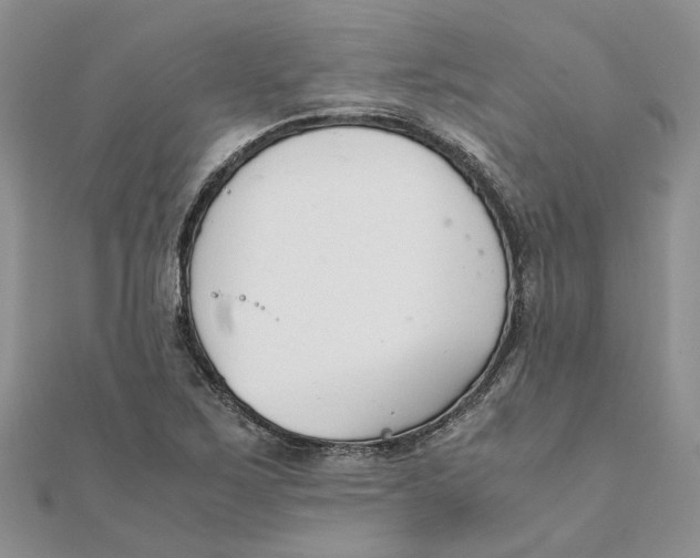 X0000111881267200908131626