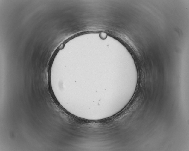 X0000111881268200908131626