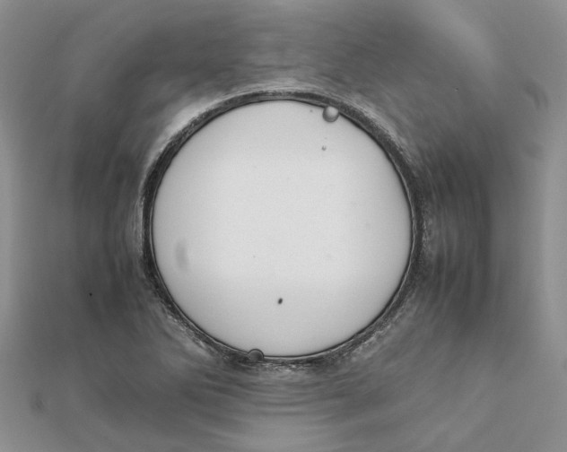 X0000111881270200908131626