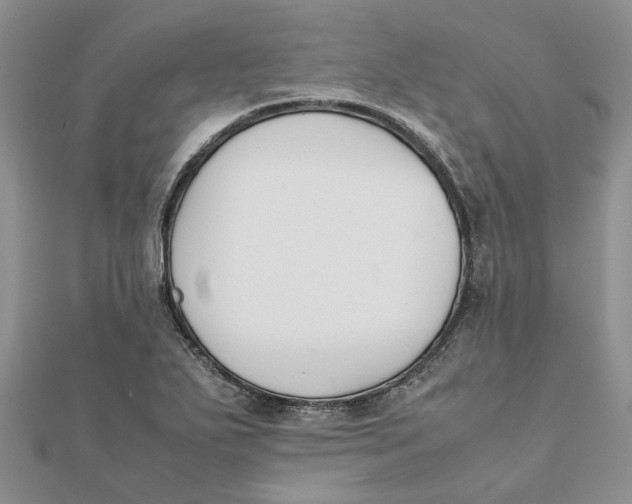 X0000111881271200908131626