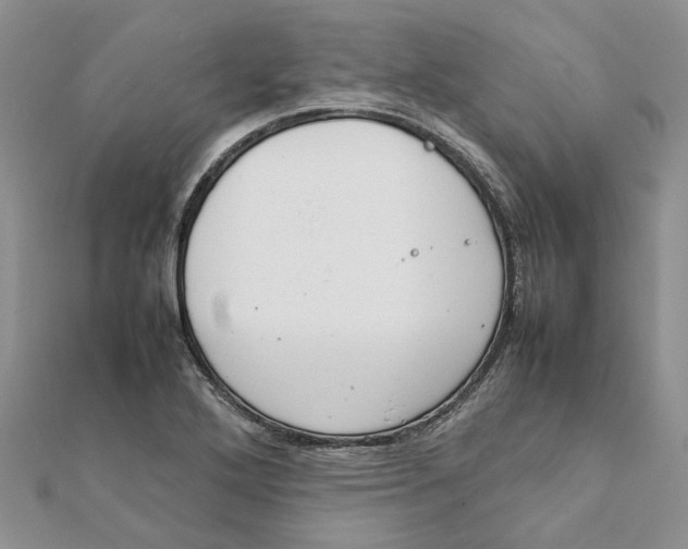 X0000111881272200908131626