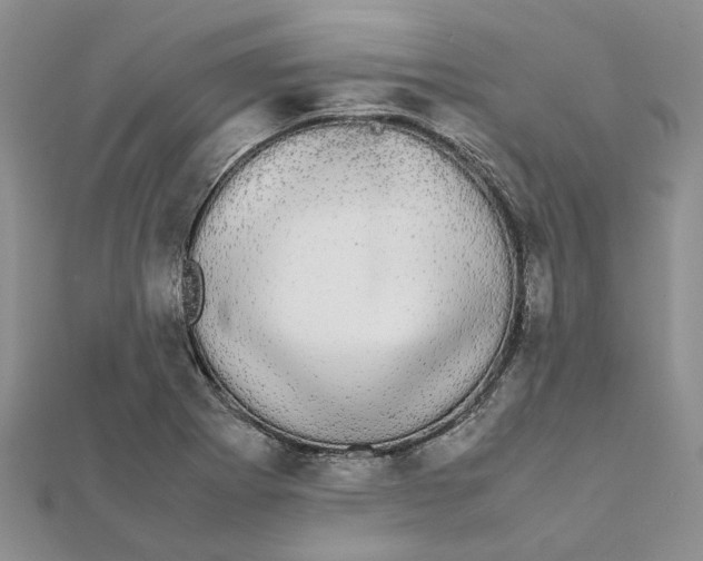 X0000111881273200908131626