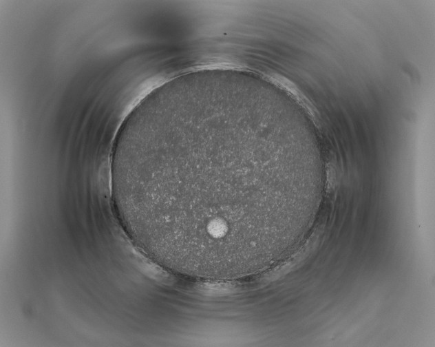 X0000111881274200908131626