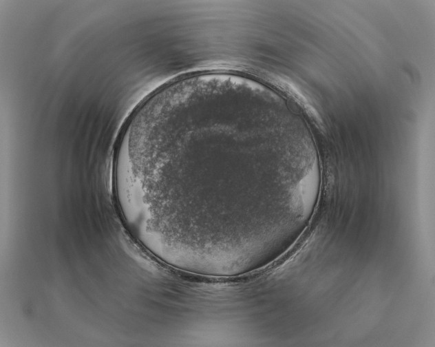 X0000111881276200908131626