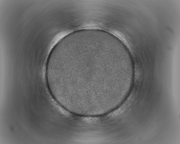 X0000111881277200908131626