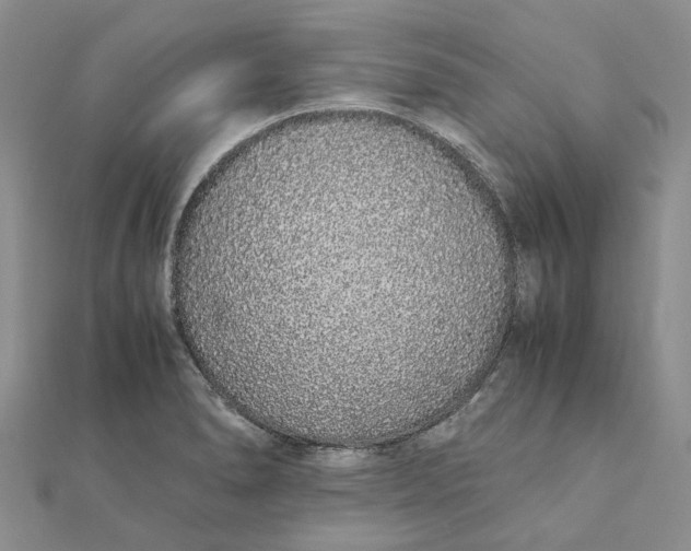 X0000111881278200908131626